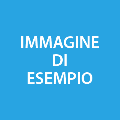 immagine di esempio